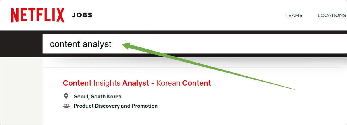 netflix content analyst jobs