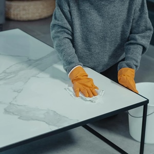 remote cleaning business