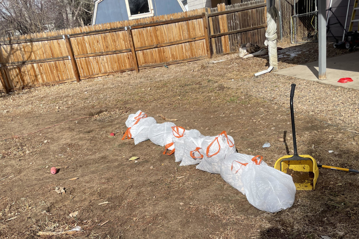 removing dog waste from a yard
